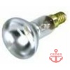 Reflector lamp 230V 25W E14 R50